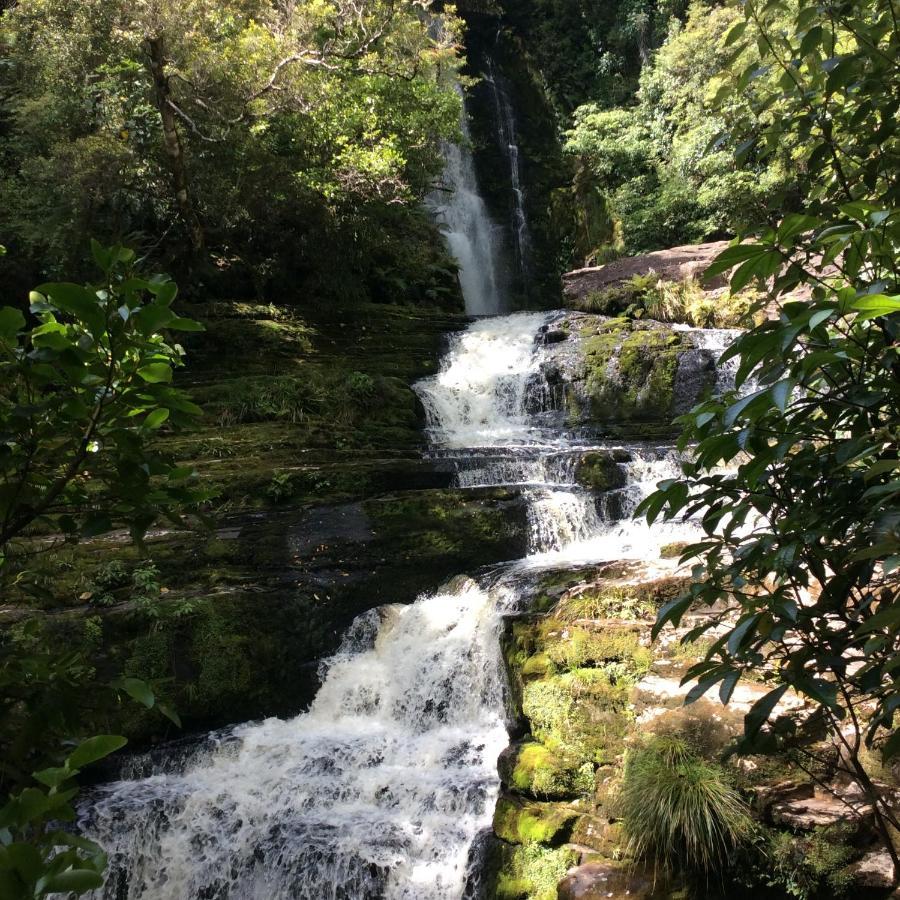 Owaka Catlins Retreat B & B מראה חיצוני תמונה