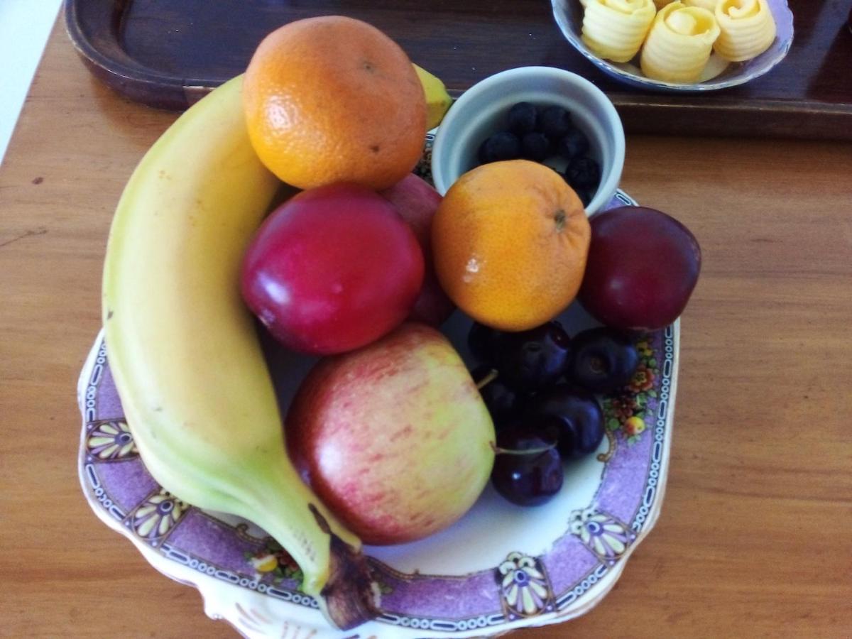 Owaka Catlins Retreat B & B מראה חיצוני תמונה